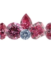  Pink Diamond Investments in Cooks Hill NSW