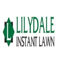 Lilydale Instant lawn