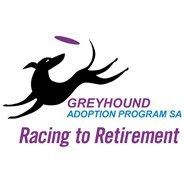  Greyhound Adoption Program - SA in Regency Park SA