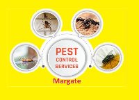  Pest Control Margate in Margate QLD