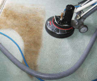  Carpet Cleaning Braddon in Braddon ACT