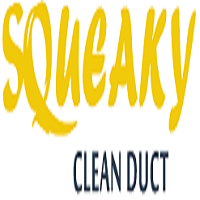 Squeaky Clean Duct