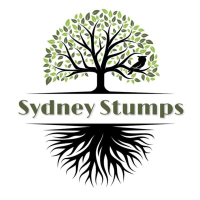  Sydney Stumps in Banksia NSW