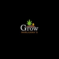  Grow Marijuanas in New York City NY