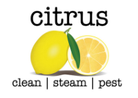  Citrus Clean Steam Pest in Wurtulla QLD