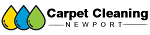  Carpet Cleaning Newport in Newport NSW