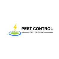  Pest Control East Brisbane in East Brisbane QLD