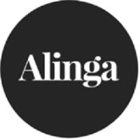  Alinga Web Design in Southport QLD