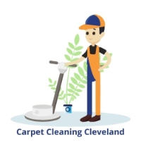  Carpet Cleaning Cleveland in Cleveland QLD