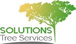Solutions Arborist Services & Tree Removal
