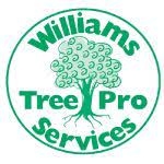  Williams Tree Pro in Myaree WA