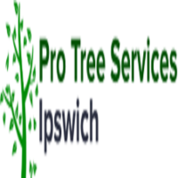 Pro Tree Services Ipswich