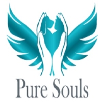  Pure Souls Pet Aquacremation in Virginia QLD