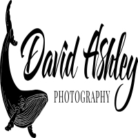  David Ashley Photos in Thornlie WA