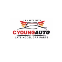  Cyoung Auto in Greenacre NSW