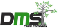  DMS Tree Removal in Huntingdale VIC