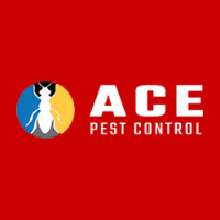  Ace Pest Control Brisbane in Brisbane City QLD