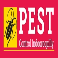  Pest Control Indooroopilly in Indooroopilly QLD