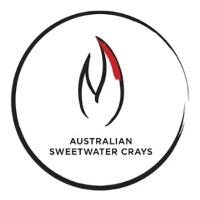  Australian Sweetwater Crays in Tabragalba QLD