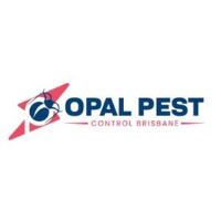  Best Pest Control Brisbane in Brisbane City QLD