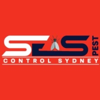 Bee Control Sydney