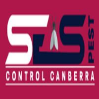 Possum Control Canberra