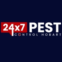  Fleas Pest Control Hobart in Hobart TAS