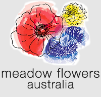  Meadow Flowers Australia in Mudgeeraba QLD