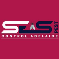 Cockroach Pest Control Adelaide