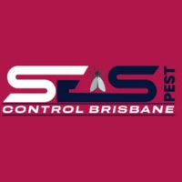  Best Possum Removal Brisbane in Brisbane City QLD