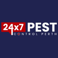 Flea Treatment Perth