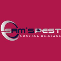  Ant Exterminator Brisbane in Brisbane City QLD