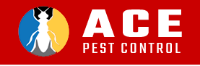  Ace Pest Control Geelong in South Geelong VIC