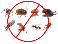  Affordable Pest Control Services Geelong in Geelong VIC