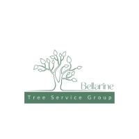  Bellarine Tree Service Group in Ocean Grove VIC