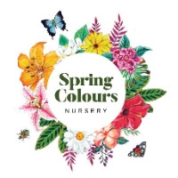  Spring Colours Nursery in Dural NSW