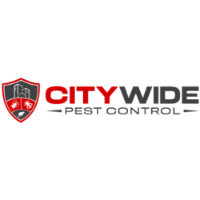  City Wide Wasp Removal Sydney in Sydney NSW