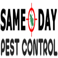 Same Day Pest Control Toowoomba