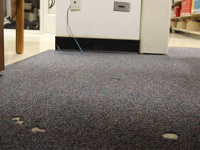  Fresh Cleaning Service - Carpet Repair Canberra in Canberra ACT