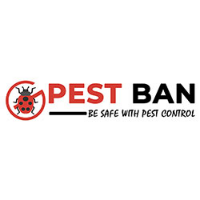 Pest Control Bondi