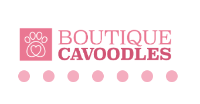 Boutique Cavoodles