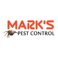 Pest Control Liverpool