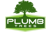  Plumb Trees in Croydon Park NSW