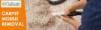Carpet Mould Damage Removal Sydney