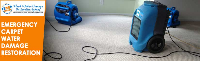 Emergency Carpet Water Damage Restoration Sydney