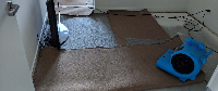  Water Damage Carpet Drying Brisbane in Brisbane QLD
