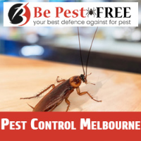  Pest Control  Melbourne in Melbourne VIC