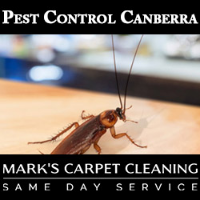  Pest Control Canberra in Canberra ACT