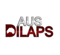 Australian Dilapidations in Paddington QLD
