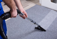  Carpet Cleaning Vaucluse in Vaucluse NSW